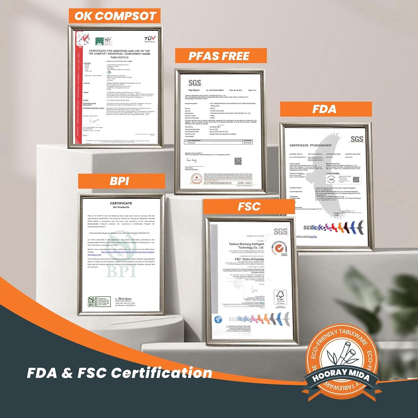 50 Pack 14-Inch Heavy-Duty Compostable Food Trays | Extra Large Disposable Platters for BBQ, Seafood Boils, Catering & Holidays | Eco-Friendly Paper Serving Trays