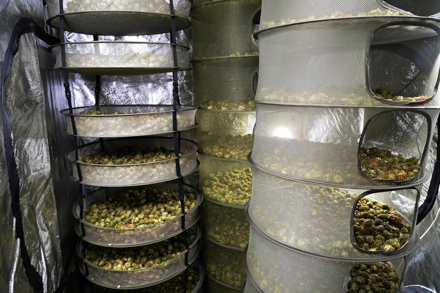 Grow1 3ft Drying Rack with Clip-On Levels Collapsible Mesh Herb and Flower Hanging Dryer with Removable Layers and Carrying Case