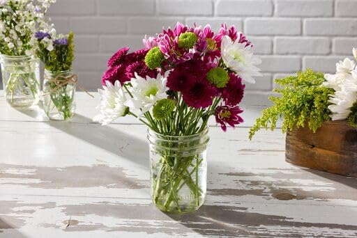 Ball Wide Mouth Glass Mason Jars with Lids and Bands, Used for Canning, Pickling, Juice, Jam, Jelly, Pint Size 16 Ounce (Pack of 3)