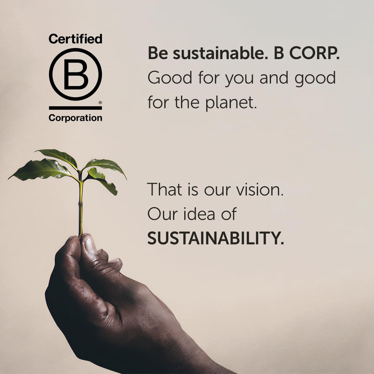 illy Arabica Selections, Ethiopia Whole Bean Coffee, 100% Arabica, Single Origin, Light Roast with Notes of Jasmine, All-Natural, No Preservatives, 8.8 Ounce Can (Pack of 6)