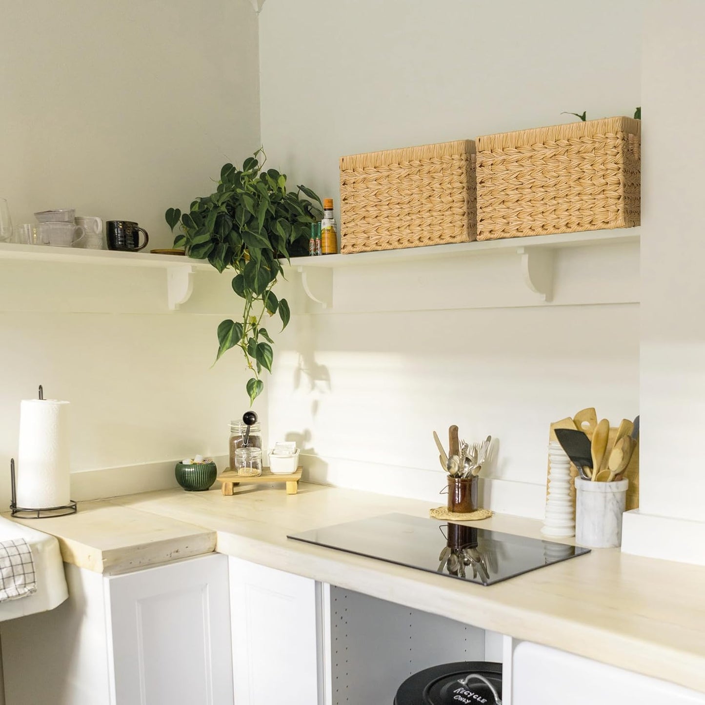 GRANNY SAYS Wicker Storage Baskets, Woven Baskets for Shelves, Waterproof Baskets for Organizing, Wicker Baskets with Handles, 2-Pack