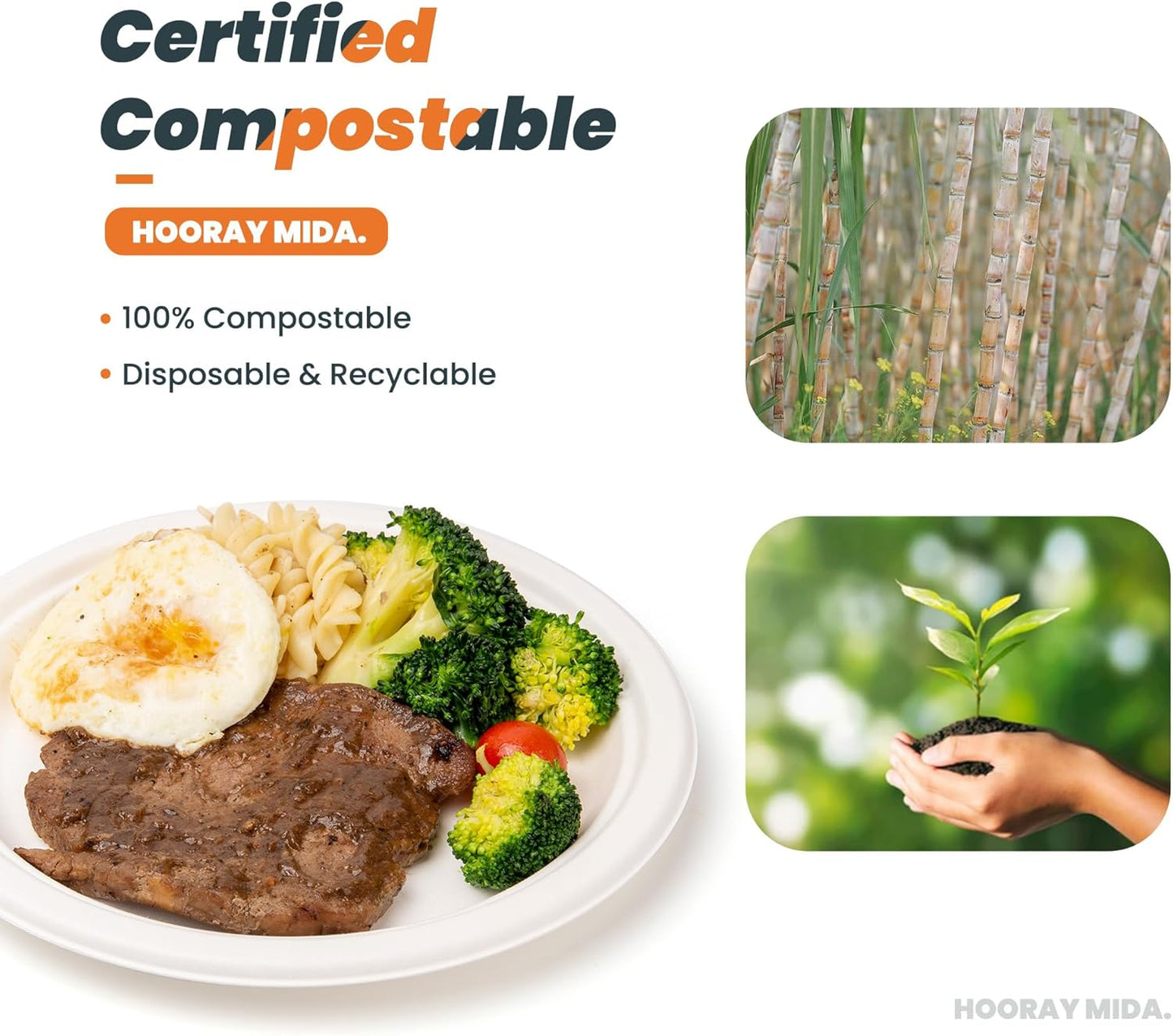 100% Compostable 9 inch Paper Plates, [125-Pack] Disposable Party Plates, (BPI Certified)-Heavy Duty, Eco-Friendly Dinner Paper Plates, Biodegradable Sugarcane Plates, white