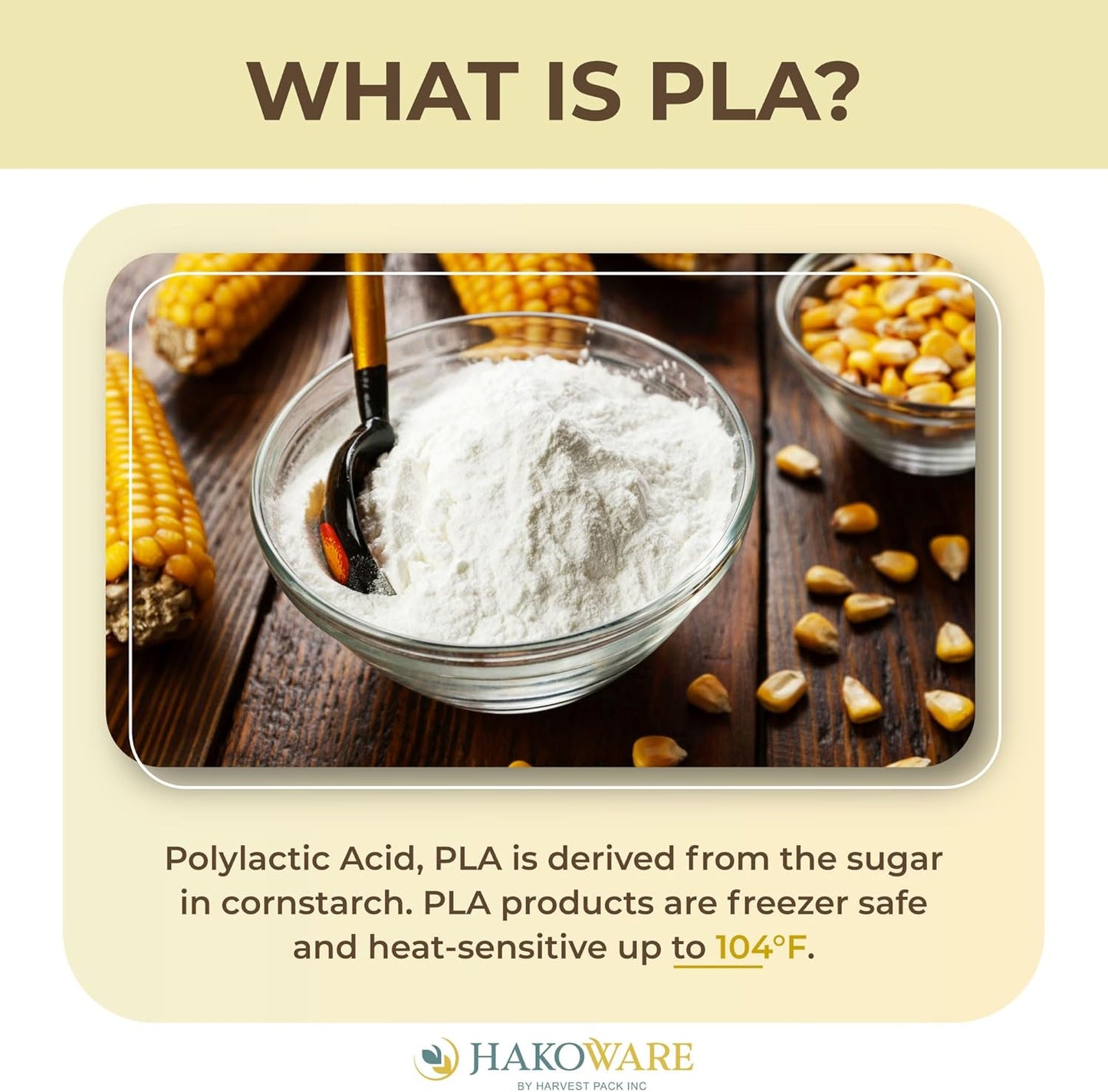 [600 COUNT] HAKOWARE Disposable Large Asian Soup Spoons with Hook, made from Crystalized Cornstarch, for Take-out Ramen Pho Noodles, Disposable Utensils Bulk Size Durable