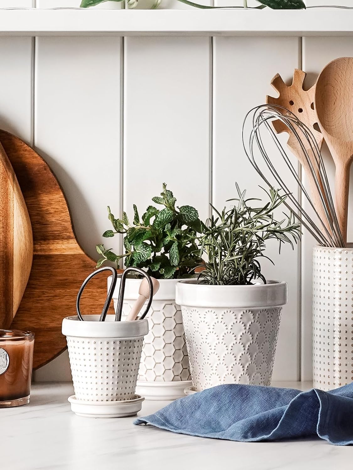 LE TAUCI Ceramic Succulent Pots, 3 Inch Mini Flower Pots for Indoor Plant Cactus, Embossed Small Plant Pot with Drainage Hole & Saucer, Home Decor - Set of 4, Arctic White