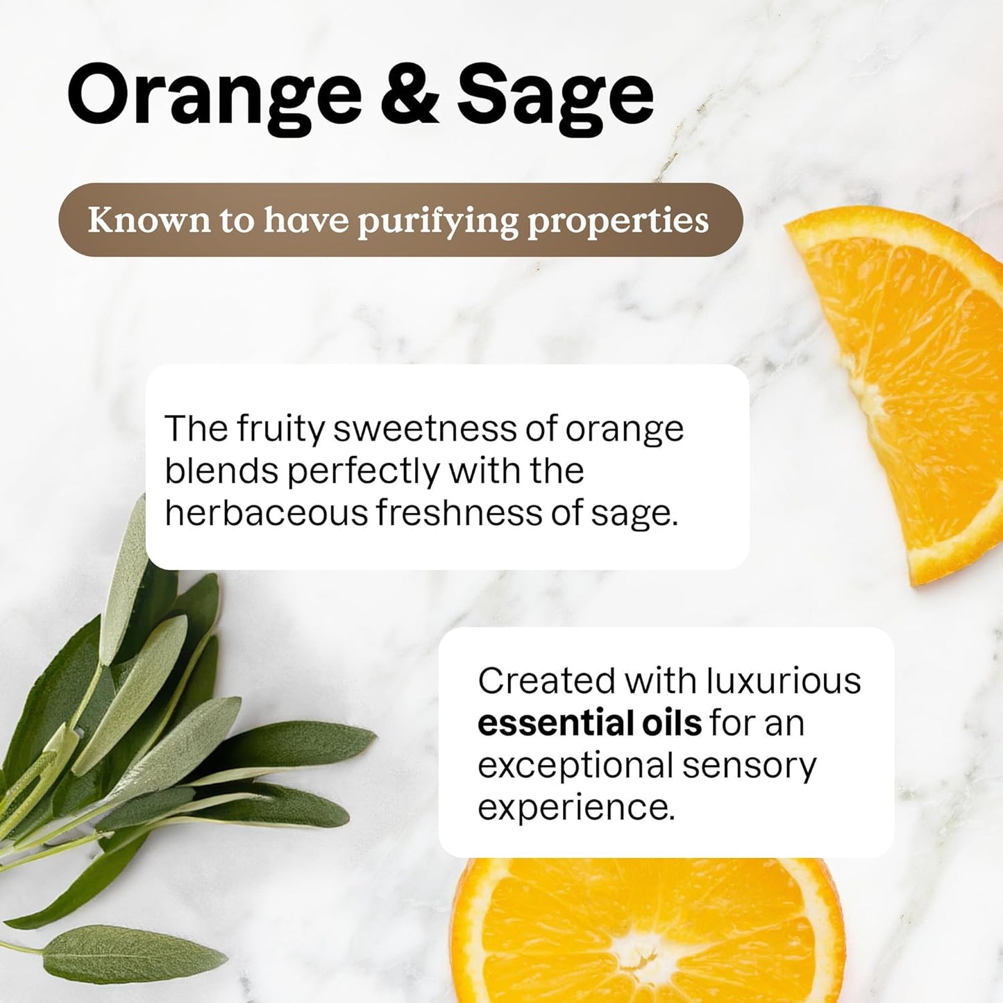 ATTITUDE Dish Soap, EWG Verified, Plant and Mineral-Based Ingredients, Vegan and Cruelty-free Household Products, Orange and Sage, 16 Fl Oz