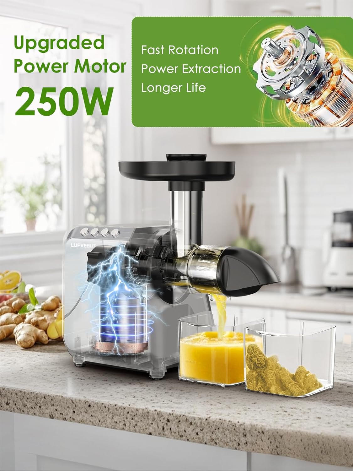 Cold Press Juicer for Celery Carrot Orange- Soft/Hard Fruits Vegetables, 250W Slow Juicer Machines BPA-Free,Reverse Function, Easy to Clean, with Big Cup,Pulp Container,Cleaning Brush