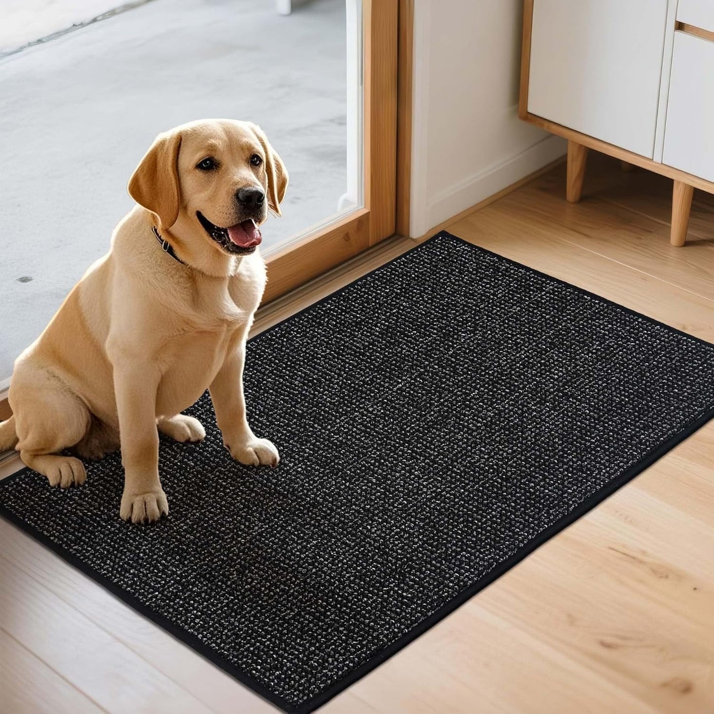 JSEI Dirt Trapper Door Mat 24"x36" Non-Slip Washable Entrance Mat, Dog Doormats, Absorbent & Fade-Resistant Floor Mats, Low Profile Welcome Mats for Entryway, Front Door, and Inside Entrance, Black