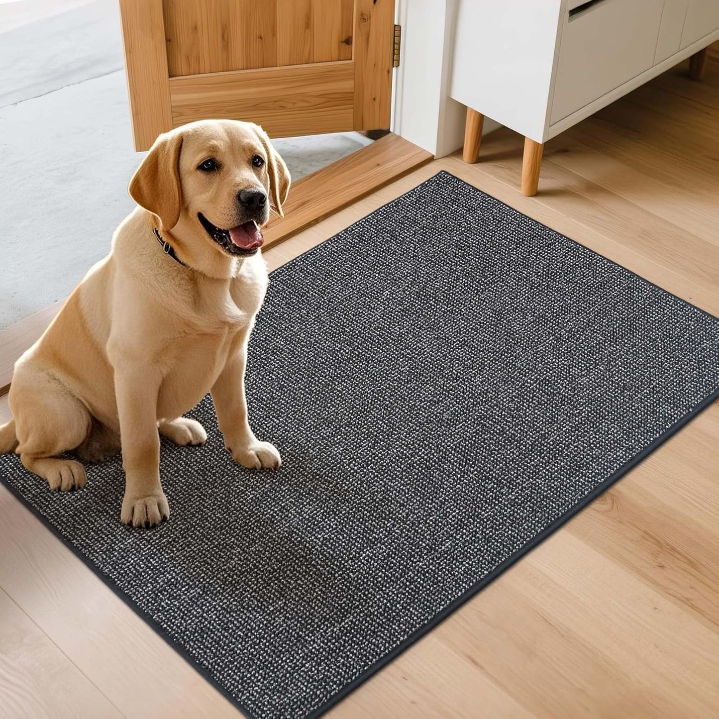 JSEI Dirt Trapper Door Mat 32"x48" Non-Slip Washable Entrance Mat, Dog Doormats, Absorbent & Fade-Resistant Floor Mats, Low Profile Welcome Mats for Entryway, Front Door, and Inside Entrance,Dark Grey